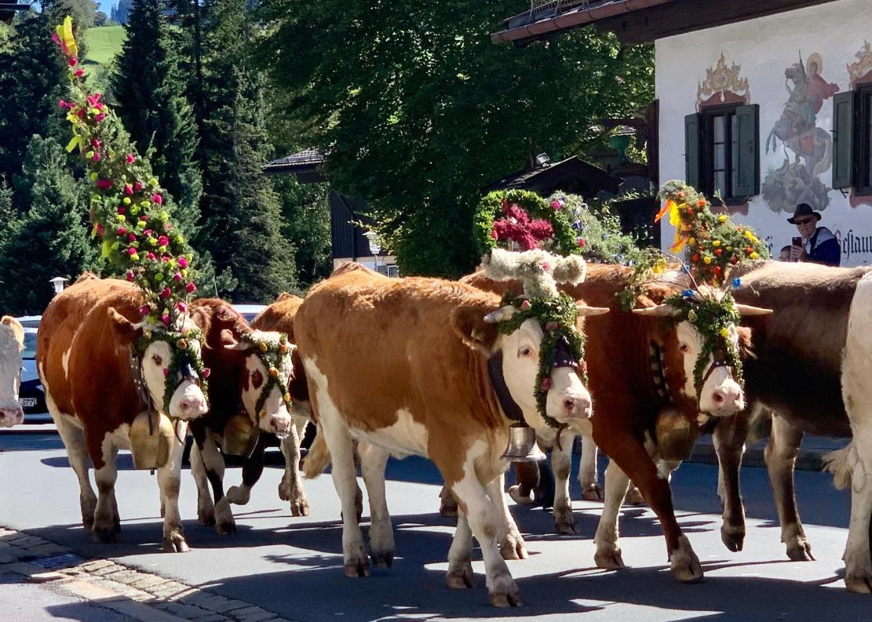 Seeheimat Ferienwohnungen Schliersee Exterior foto