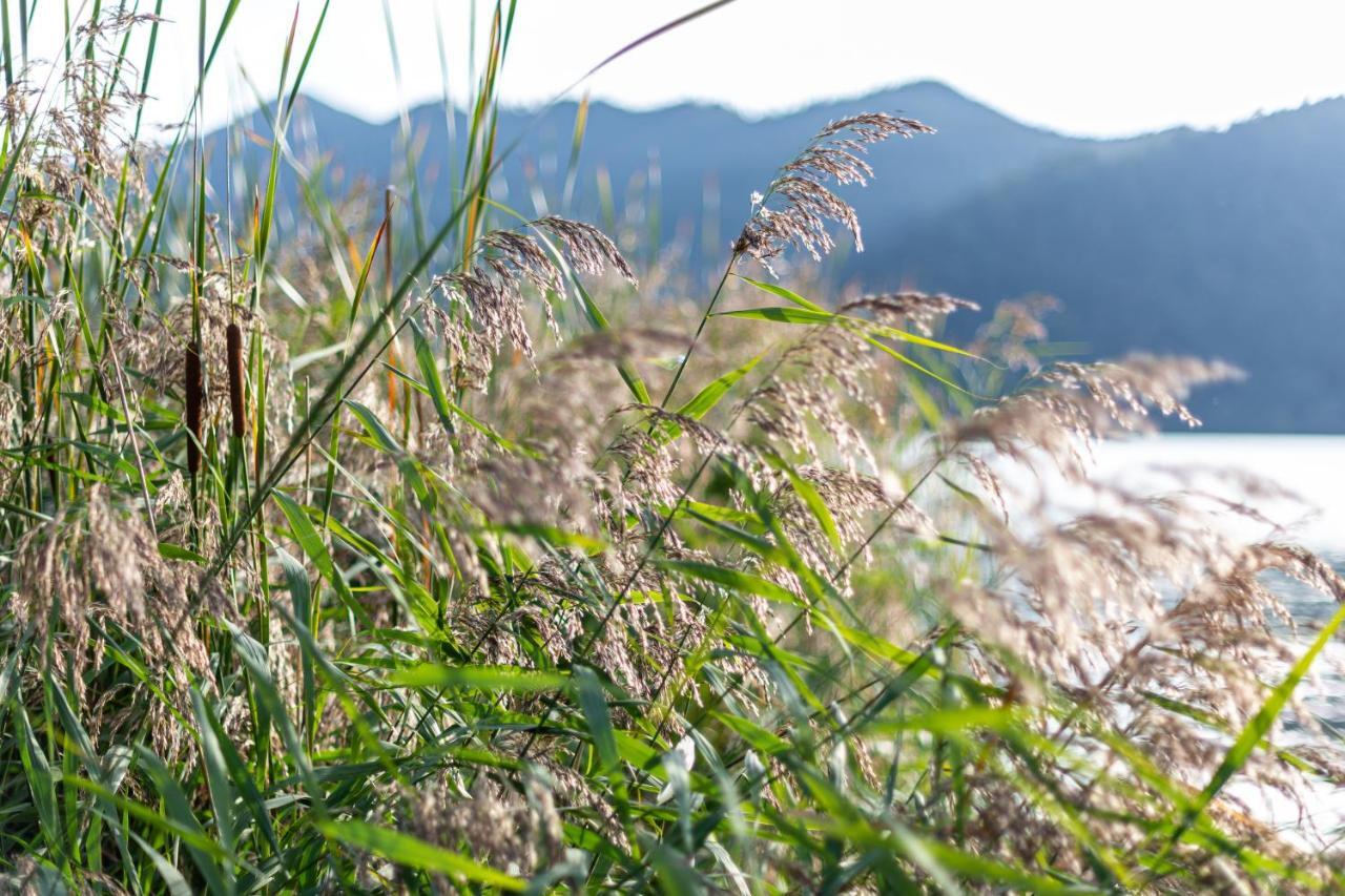 Seeheimat Ferienwohnungen Schliersee Exterior foto