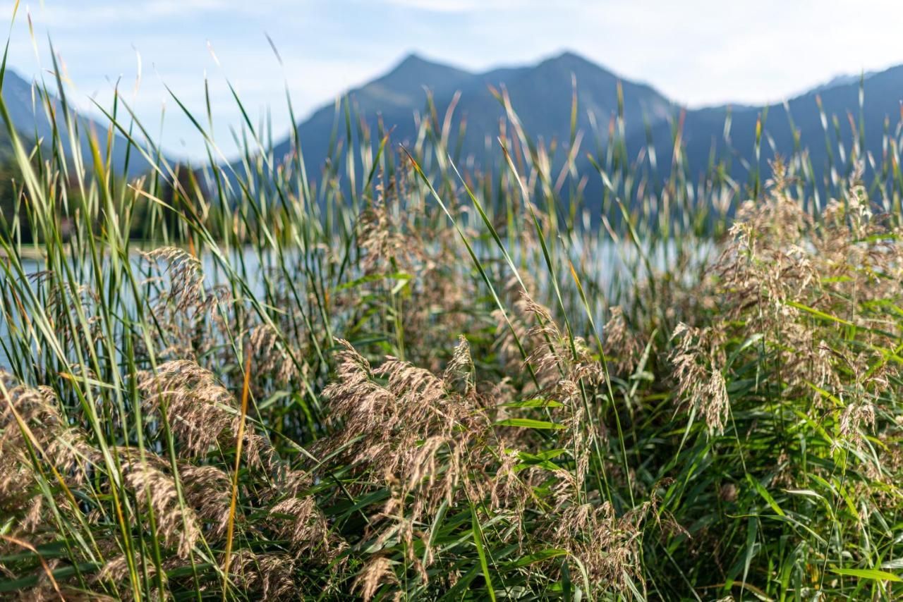 Seeheimat Ferienwohnungen Schliersee Exterior foto